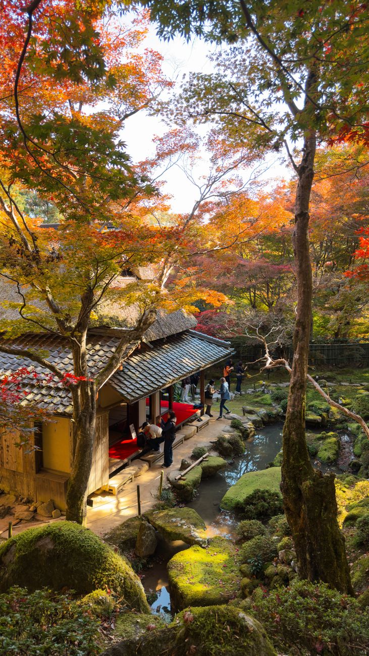 Tranquil temple veranda overlooking moss stones