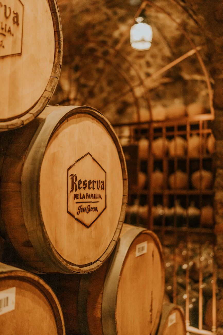 Vineyard cellar barrels and sommelier tasting